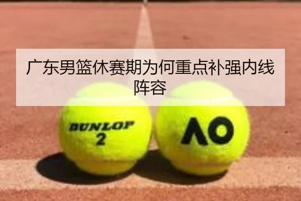 广东男篮休赛期为何重点补强内线阵容
